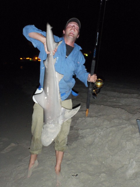 matt shark.jpg matt shark.jpg